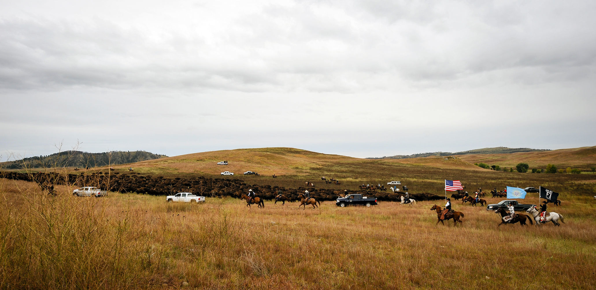 54th Annual Buffalo Roundup at Custer State Park